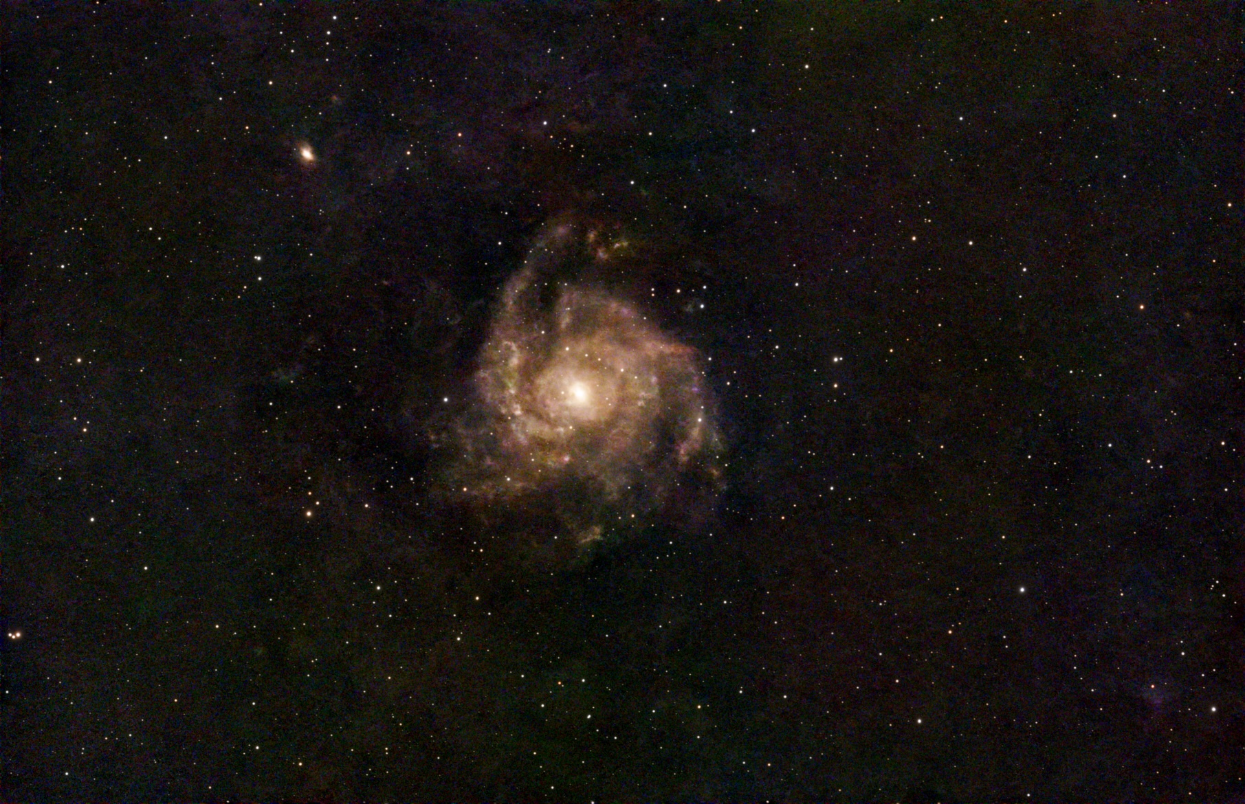 Spiral galaxy (IC 342)